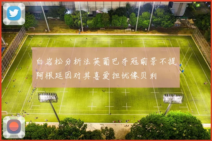 白岩松分析法英葡巴夺冠前景不提阿根廷因对其喜爱担忧像贝利